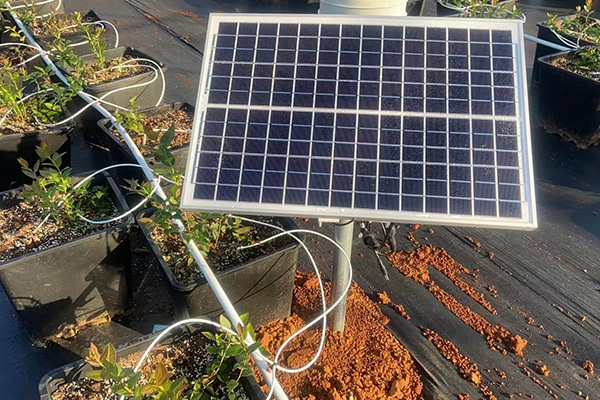 高效特色農業設備圖片3 高效特色農業設備圖片3