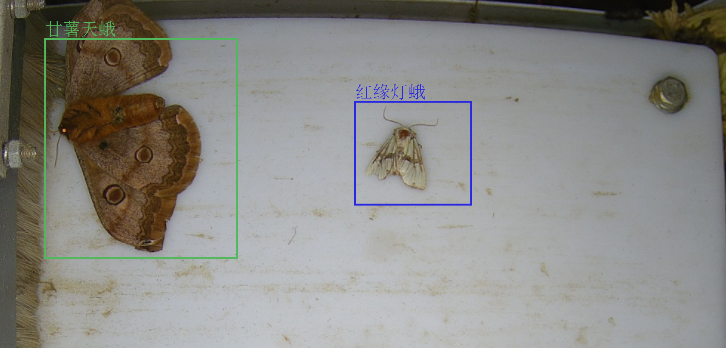 1709185355864481.png 1709185355864481.png