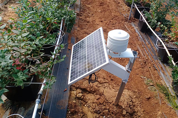 智慧大棚環(huán)境監(jiān)測系統(tǒng)圖片3