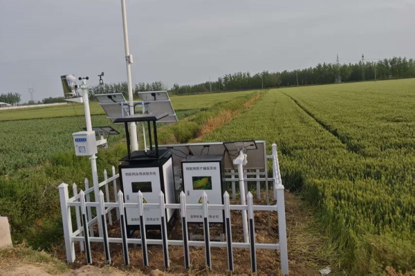 2025年宿遷測(cè)報(bào)燈孢子儀項(xiàng)目現(xiàn)場(chǎng)圖片2