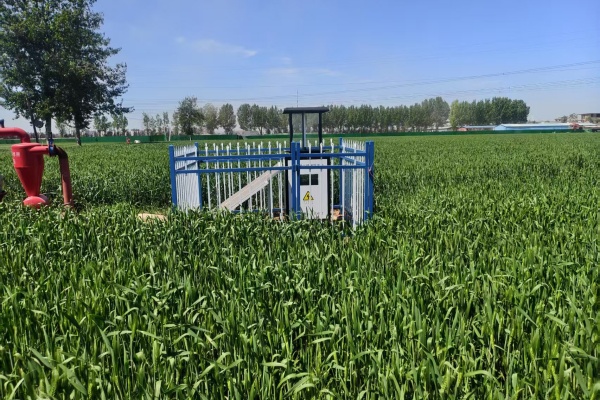 智慧蟲情監測系統現場安裝圖片3