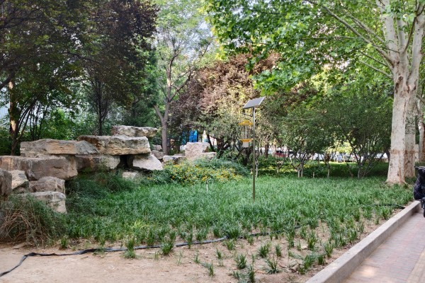 物聯網殺蟲燈圖片4 物聯網殺蟲燈圖片4