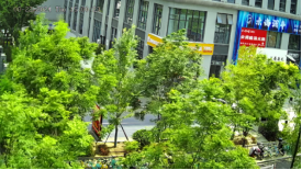 1766029335520472.png 圖片.png