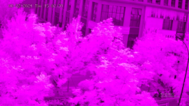 1766040539550493.png 圖片.png