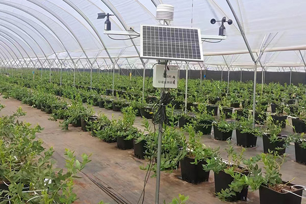 便攜式自動風向監測儀圖片2