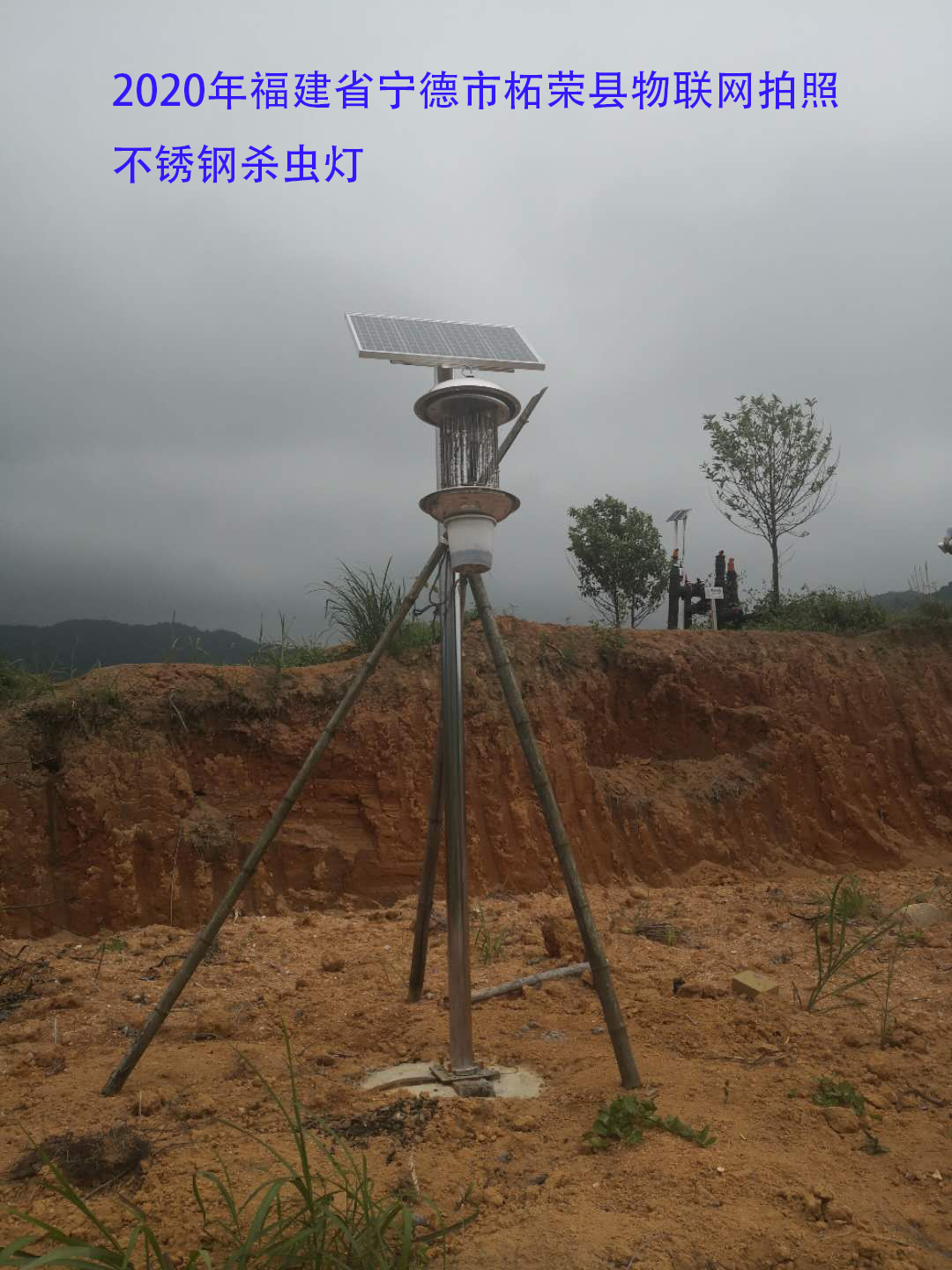 福建省寧德市柘榮縣物聯(lián)網(wǎng)殺蟲(chóng)燈